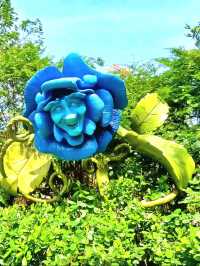 Get lost in Alice in Wonderland Maze!