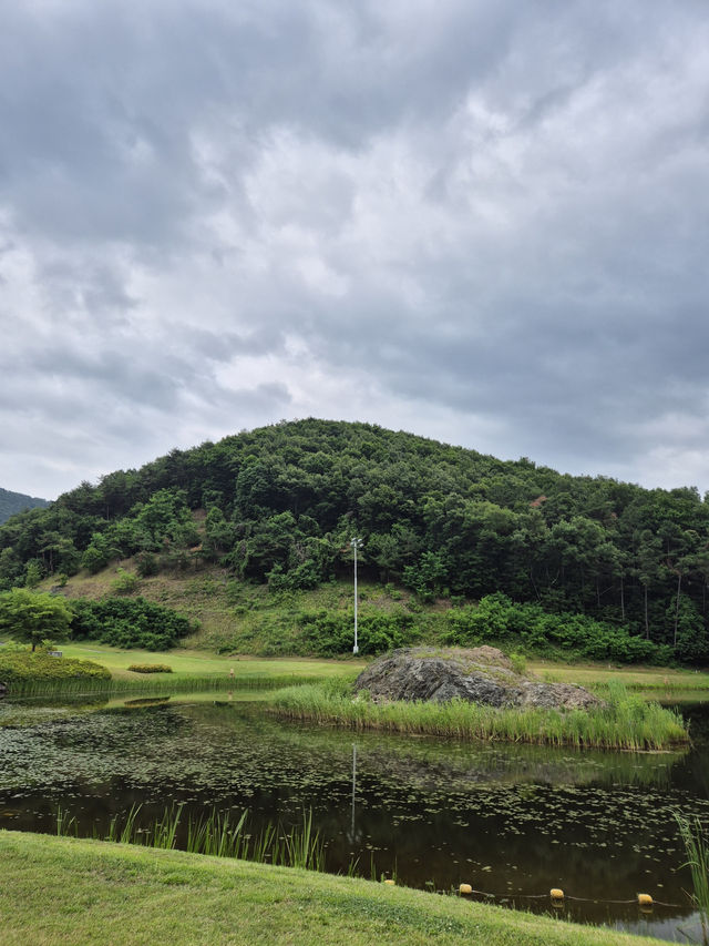 🌿 용인 처인 체력단련장, 가까운 곳에서 누리는 필드의 여유