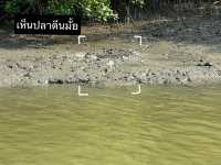 ล่องเรือคลองเขาแดง ประจวบคีรีขันธ์