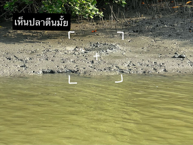 ล่องเรือคลองเขาแดง ประจวบคีรีขันธ์