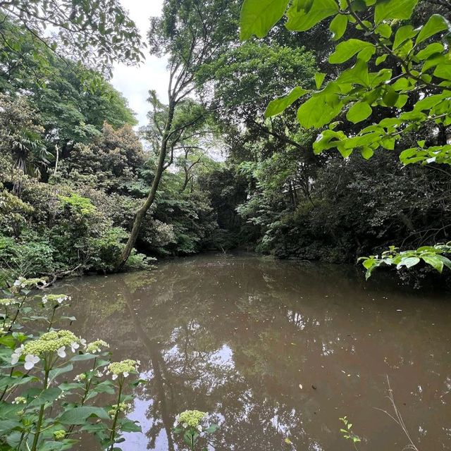 Institute for Nature Study (Minato)