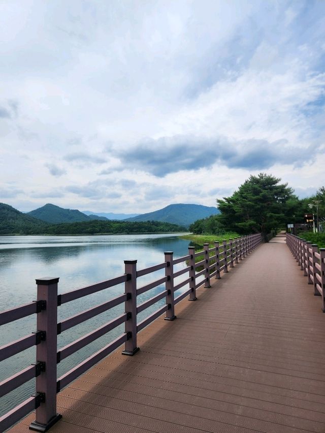 🚴‍♂️강원도 고성여행, 자연 속 자전거 한 바퀴 "송지호 둘레길 자전거대여소"🚴‍♀️