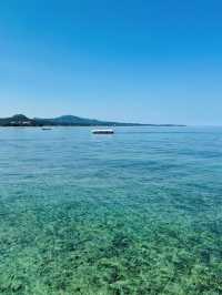 【海の中をのぞいてみよう】沖縄の海を間近に感じる「ブセナ海中公園」