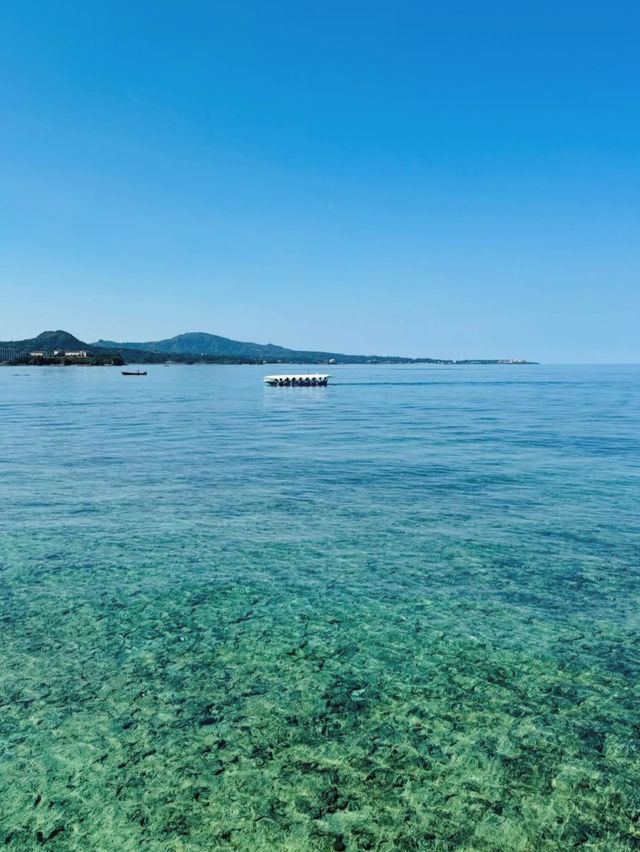 【海の中をのぞいてみよう】沖縄の海を間近に感じる「ブセナ海中公園」