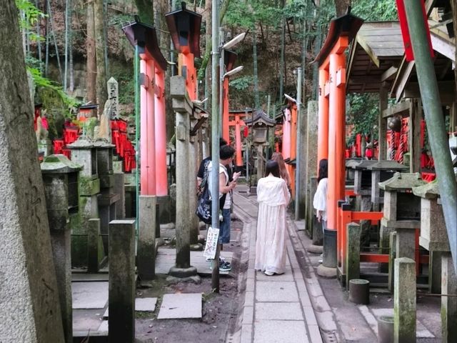 @ FUSHIMI INARI TAISHA IN KYOTO.