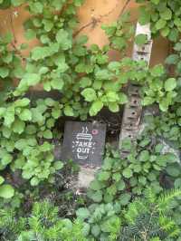 🌿 강물 따라 흐르는, 힐링 포레스트 카페 🌳 카페 레오나