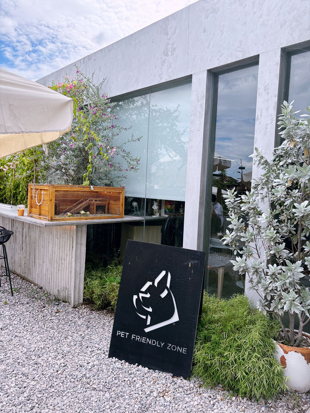 My Element Cafe 