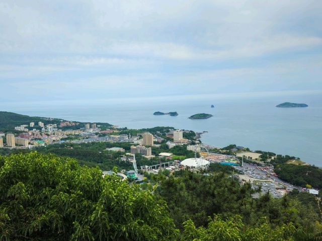 연화산 전망대에서 보는 풍켱