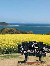 Nokonoshima Island Park| Fukuoka