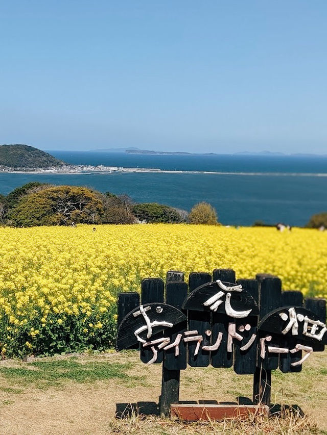 Nokonoshima Island Park| Fukuoka