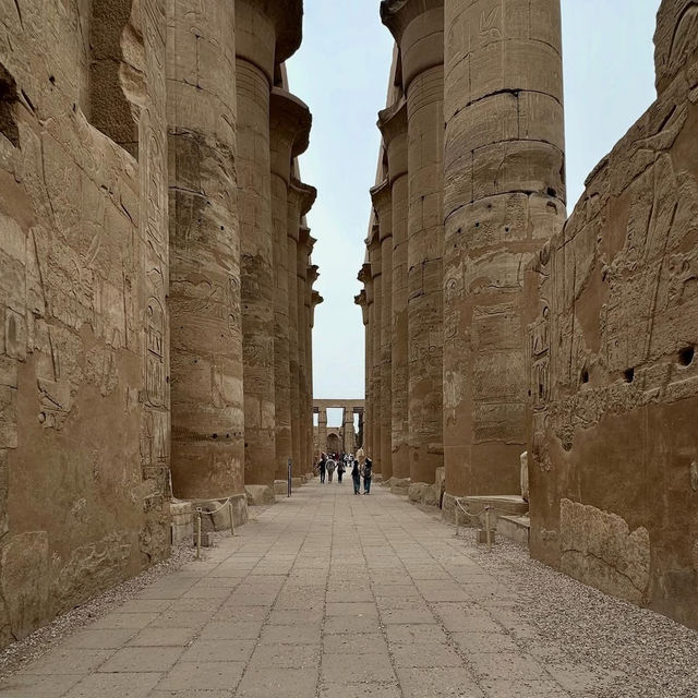 Luxor Temple by Moonlight: A Summer Night Walk Through 3,500 Years of History