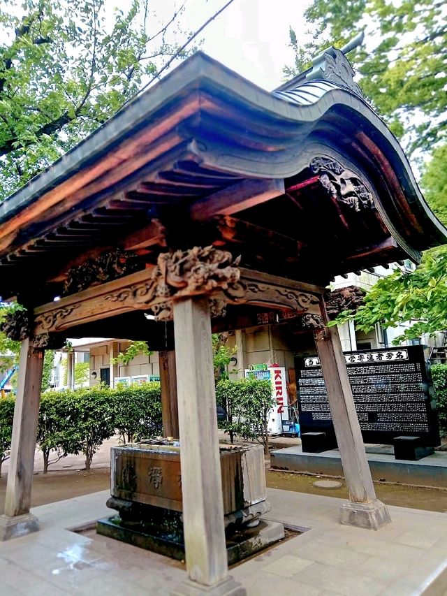 เดิน🚶‍♀️เล่นใน Chichibu