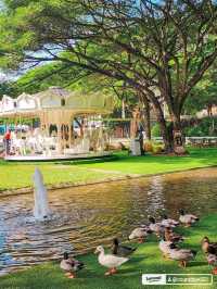 จุดเช็คอินสวนผึ้งที่ห้ามพลาด‼️the scenery vintage 