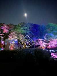 【福岡】9/30まで限定の日本庭園ライトアップが素敵すぎます！