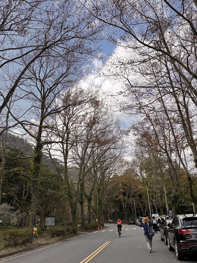 桃園-石門水庫