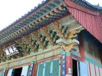 Hidden Peace on the Hillside: Beomeosa Temple, Busan