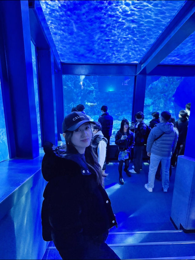 国内で唯一ラッコに会えるの水族館🦦🐚‎🫧【三重県・鳥羽】