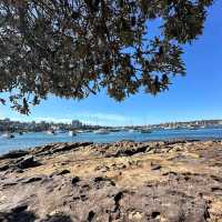 Spit Bridge to Manly Walk – Sydney