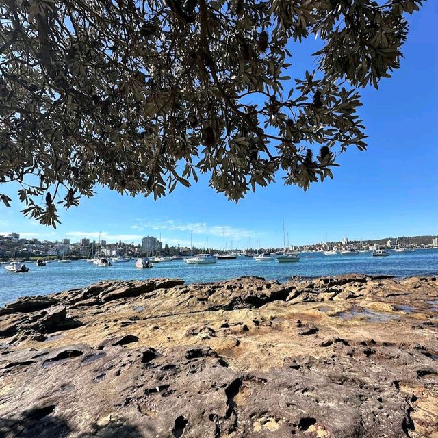 Spit Bridge to Manly Walk – Sydney