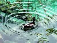 Whispers of Water: Serenity in Every Shade of Blue