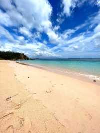 Blush by the Sea: Pink Beach, Lombok