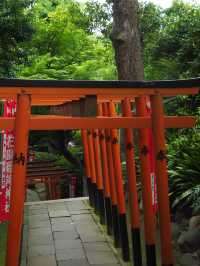 🇯🇵 Tokyo Spot | A Leisurely Stroll through Ueno Park