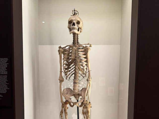 走讀MUNCHMUSEET孟克美術館
