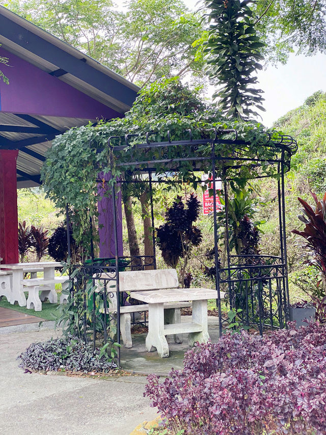 Tea with a View: Cameron Valley Escape!