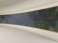 Money’s Water Lilies Experience: Musée de l’Orangerie, Paris