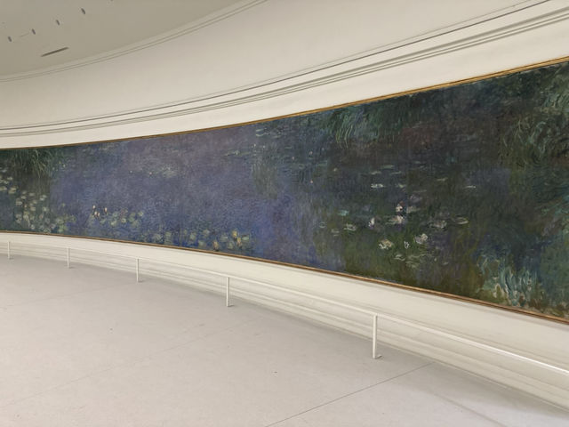 Money’s Water Lilies Experience: Musée de l’Orangerie, Paris