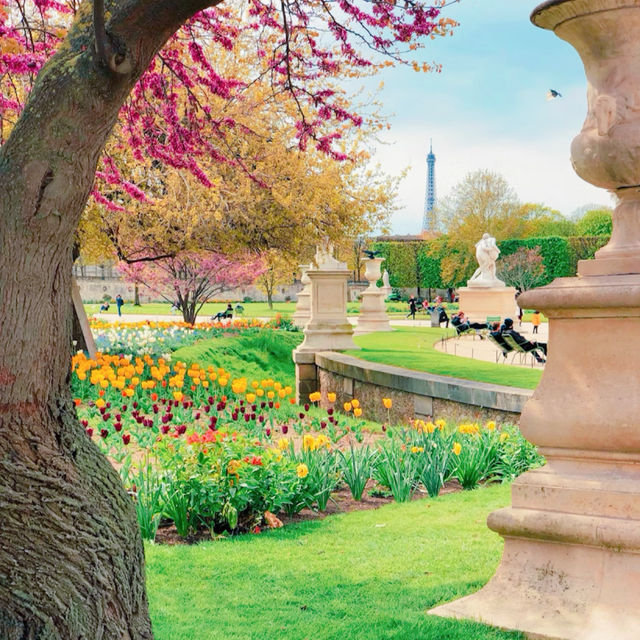 【パリ最古の公園】チュイルリー公園⛲️🇫🇷
