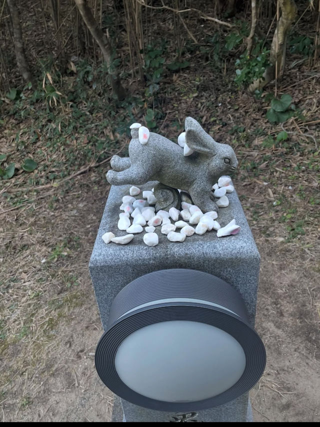 【神話の地で縁結び✨白兎神社で心清らかに】