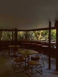 WYAH Cafe