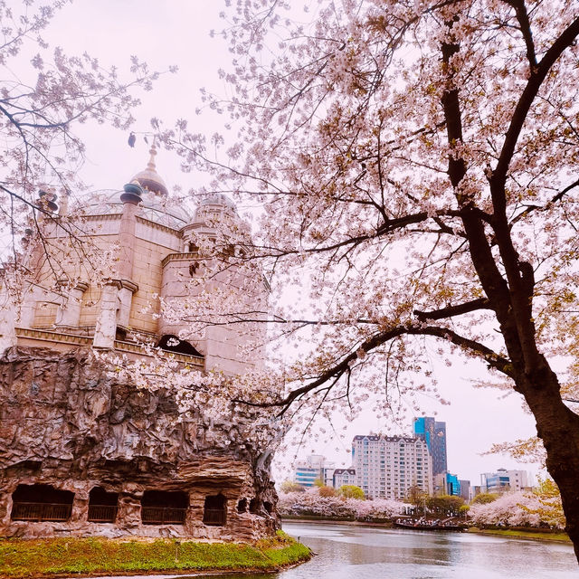 Solo Serenity at Seokchon Lake: Seoul’s Cherry Blossom Paradise** 🌸🚶♀️   