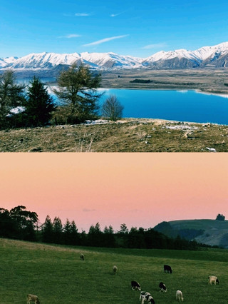 Queenstown: Where Adventure and Romance Meet