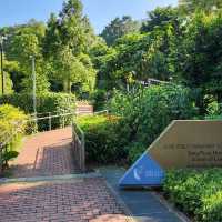 Plants and Park 