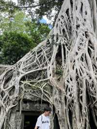 🧝‍♀️ Tomb Raider Vibes at Ta Prohm, Angkor Wat