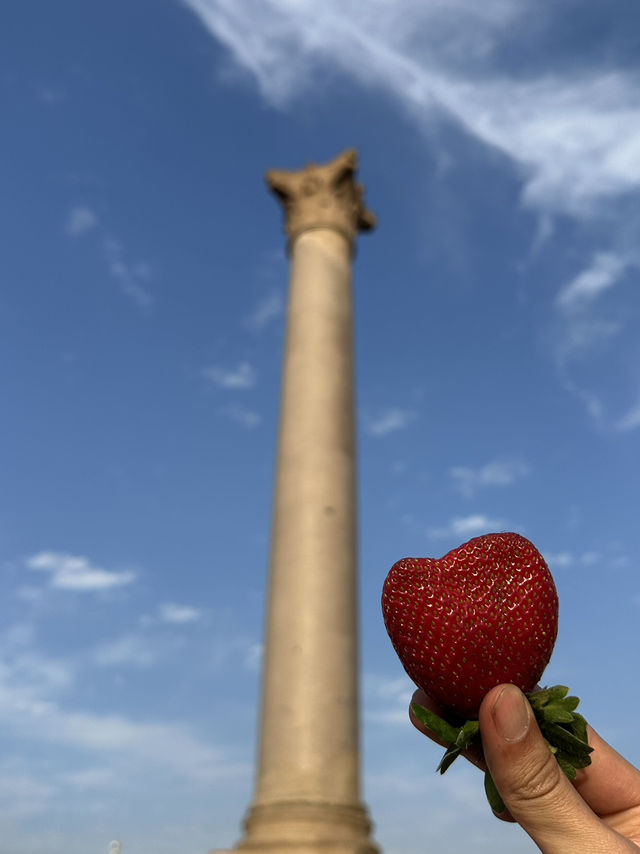 The Pillar Of Shame: Diocletian’s Victory Over Human Knowledge