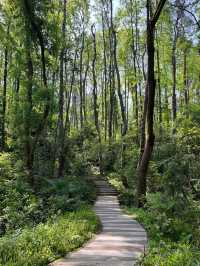 East Lake Greenway 🚴‍♂️🌿🚣‍♀️