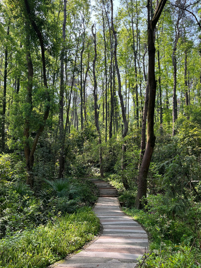 East Lake Greenway 🚴‍♂️🌿🚣‍♀️