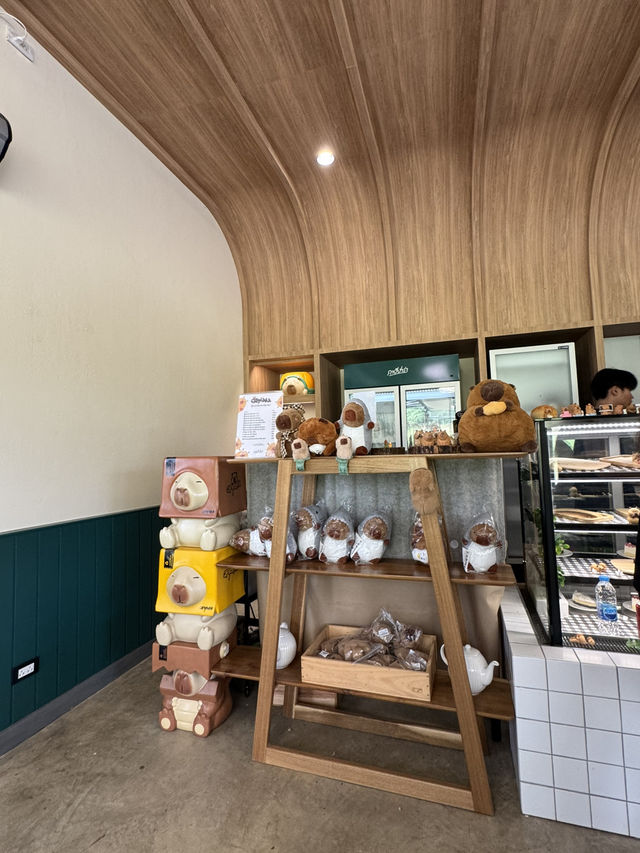 คาเฟ่กลางธรรมชาติ วิวอ่างเก็บน้ำ ที่กาปี้ป่าร่า ชล