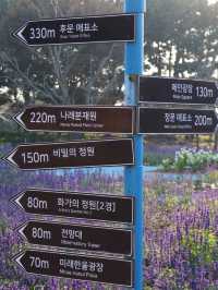 태안 코리아플라워파크 방문