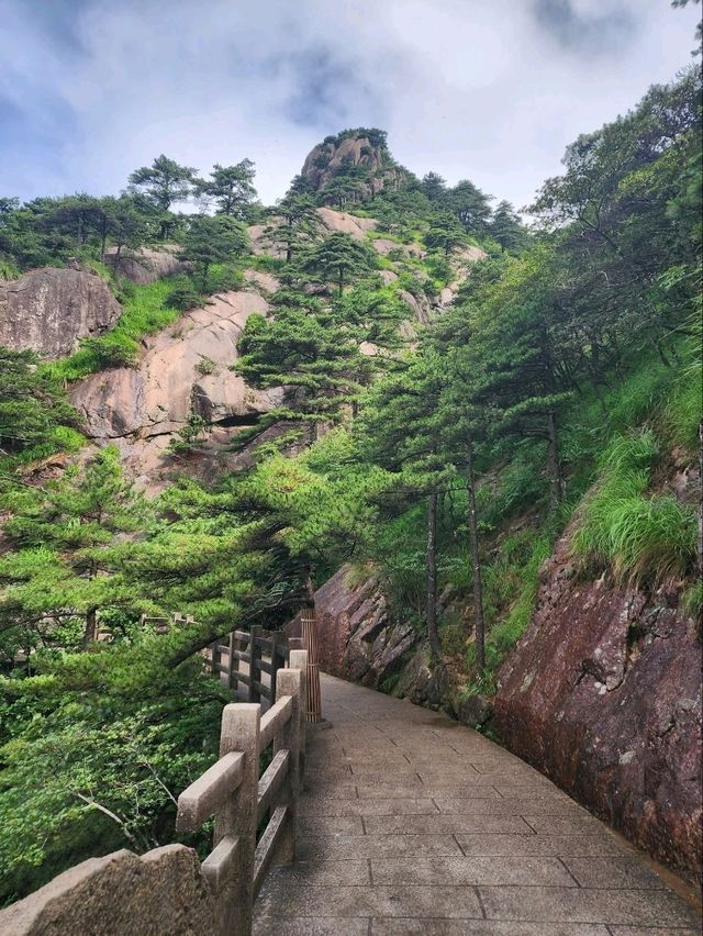 “The Sky Ride to the Sea of Clouds”