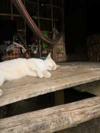 หมู่บ้านมอแกน – หมู่เกาะสุรินทร์