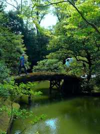 【桂離宮】日本庭園の最高峰へ🌿美と静寂が織りなす“究極の空間”