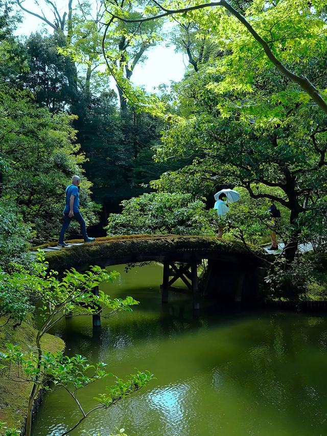 【桂離宮】日本庭園の最高峰へ🌿美と静寂が織りなす“究極の空間”