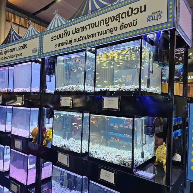 🐟 Fishtival (ประมงน้อมเกล้า) 🐟 