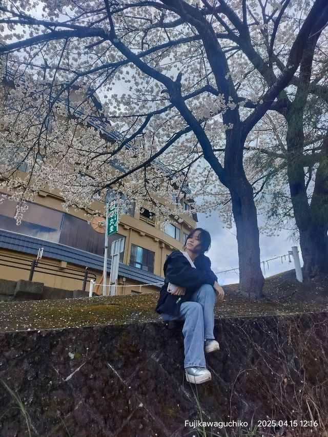 ปิกนิกริมทะเลสาบที่ Wakakusa-no-yado Maruei Hotel