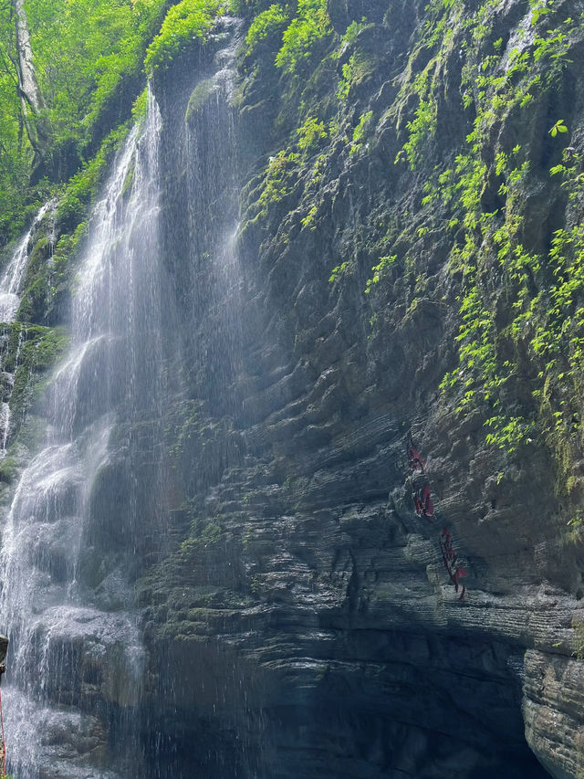 Longxian Waterfall 🌳 