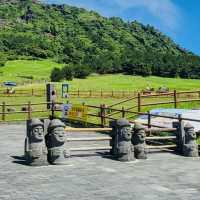 An Authentic Glimpse of Jeju's Untamed Shores